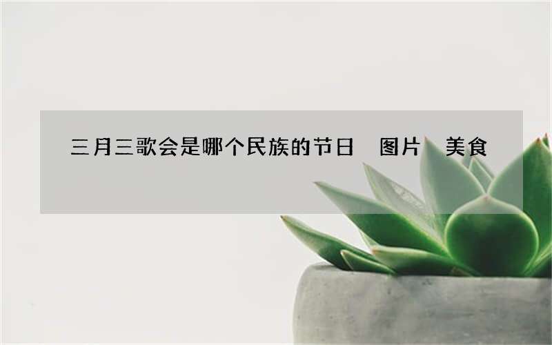 三月三歌会是哪个民族的节日 图片 美食